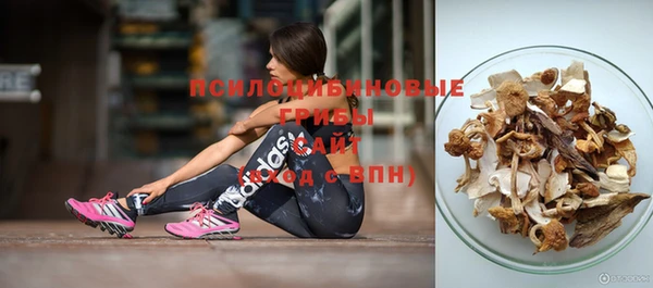 амф Бронницы