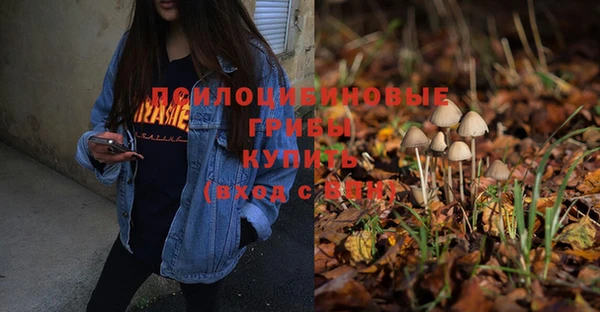 амф Бронницы