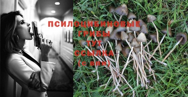 амф Бронницы
